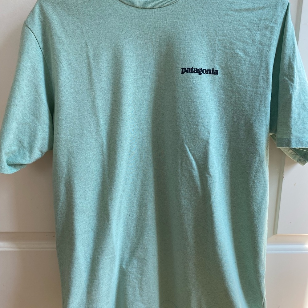 Men’s Patagonia Tee